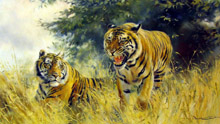 Donald Grant - Тигры
