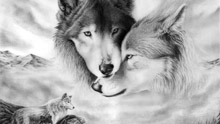 Рисунок с волками