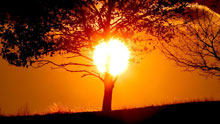 Восход, закат, дерево, солнце