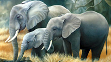 Рисованные слоны